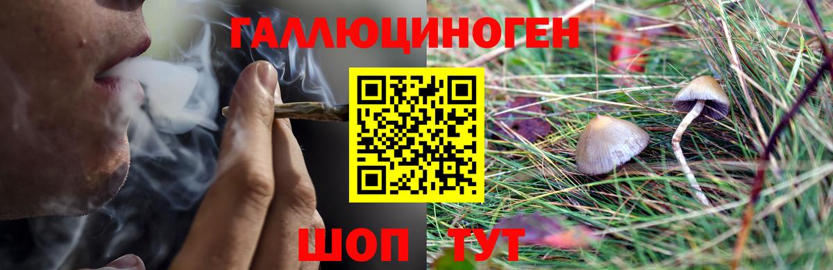 Псилоцибиновые грибы ЛСД  Вход с VPN  Добрянка 